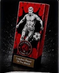 Coaches' Player of the Match trophy